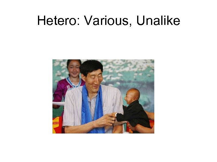 Hetero: Various, Unalike 