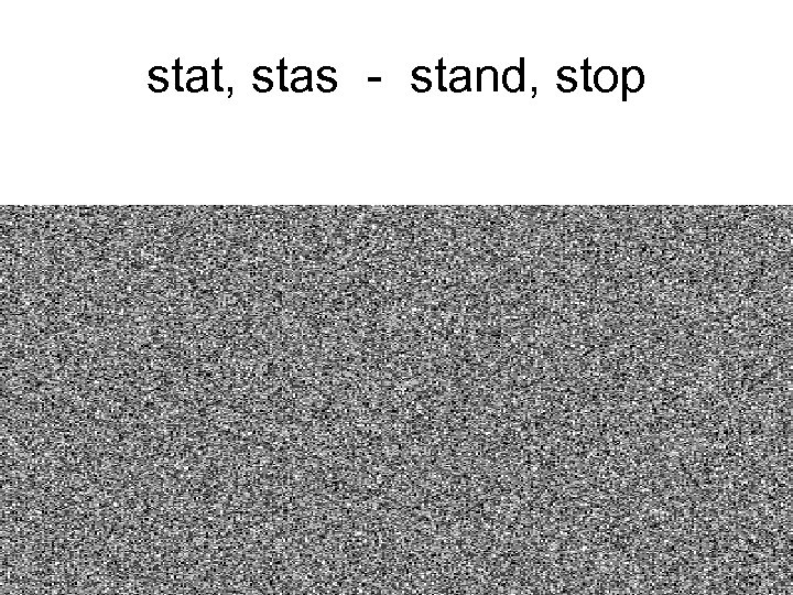stat, stas - stand, stop 
