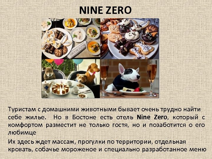 NINE ZERO Туристам с домашними животными бывает очень трудно найти себе жилье. Но в
