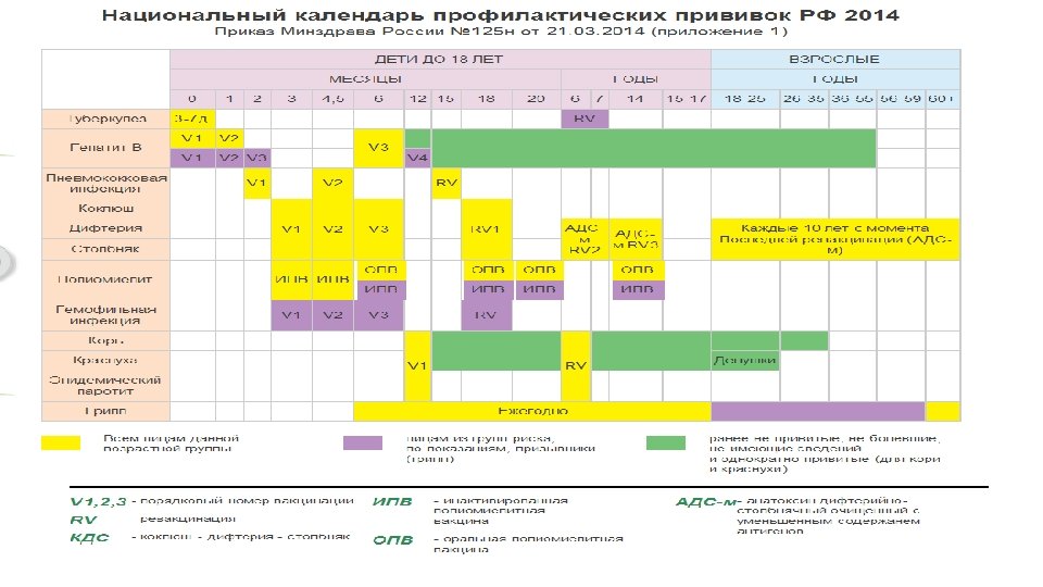 Календарь прививок 1122н от 06.12 2021