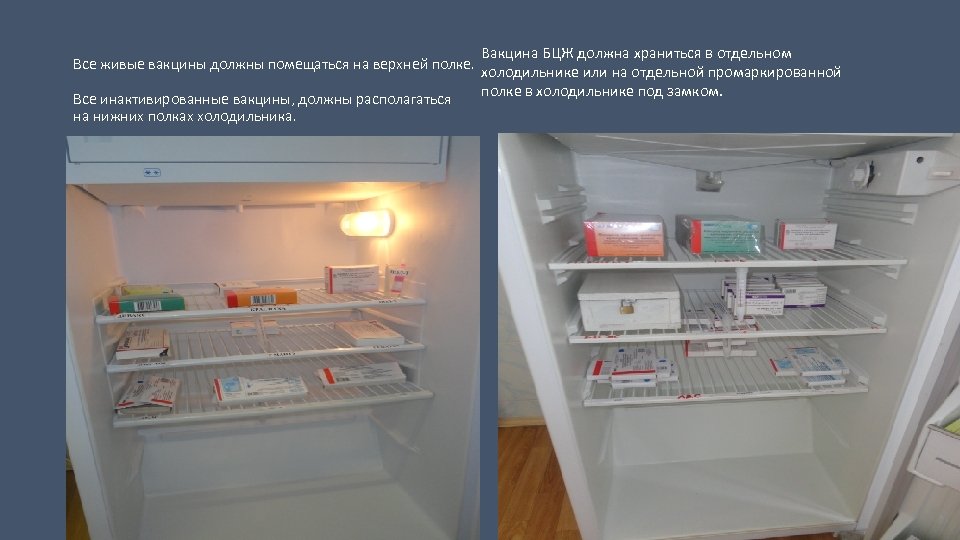 Режимы хранения лекарственных препаратов. Холодильник с двумя режимами для хранения ЛП В аптеке. Хранение вакцин в прививочном кабинете. Хранение лекарственных средств в холодильнике. Хранение вакцин в холодильнике.
