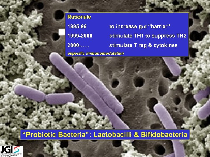 Rationale 1995 -98 to increase gut “barrier” 1999 -2000 stimulate TH 1 to suppress