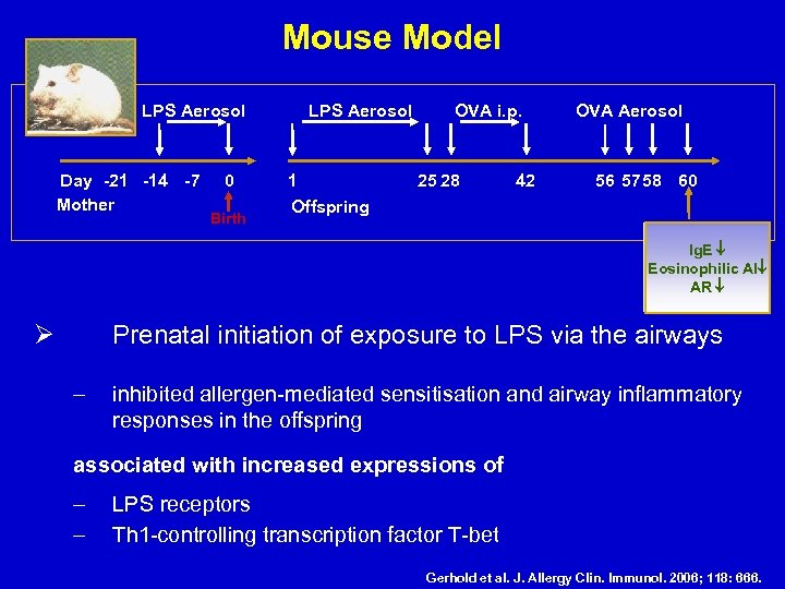 Mouse Model LPS Aerosol Day -21 -14 -7 Mother 0 Birth LPS Aerosol 1