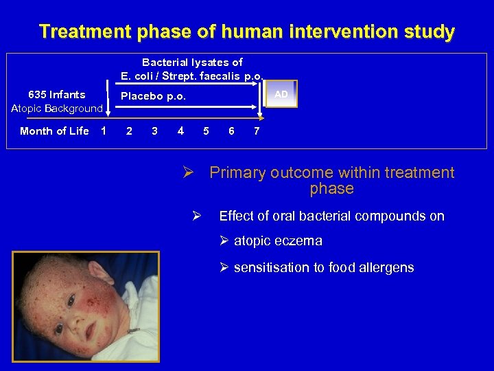 Treatment phase of human intervention study Bacterial lysates of E. coli / Strept. faecalis