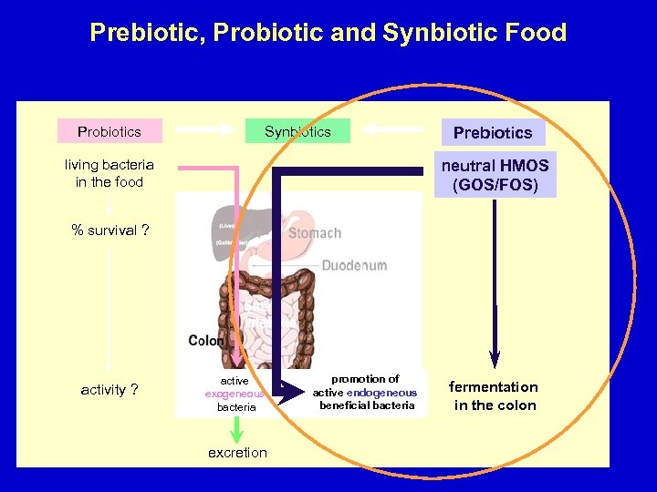 Prebiotic, Probiotic and Synbiotic Food Probiotics Synbiotics living bacteria in the food Prebiotics neutral