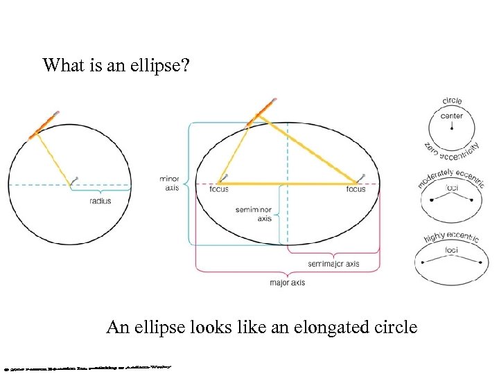 What is an ellipse? An ellipse looks like an elongated circle 