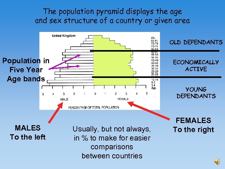 The population pyramid displays the age and sex structure of a country or given