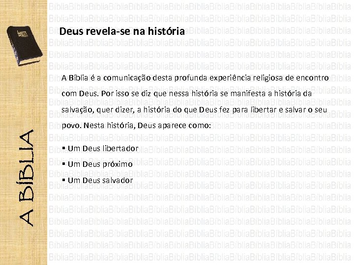 Deus revela-se na história A Bíblia é a comunicação desta profunda experiência religiosa de