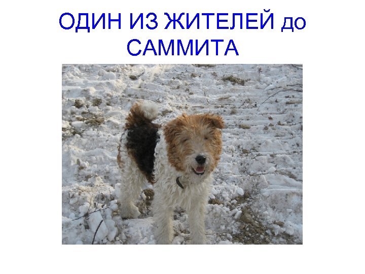 ОДИН ИЗ ЖИТЕЛЕЙ до САММИТА 