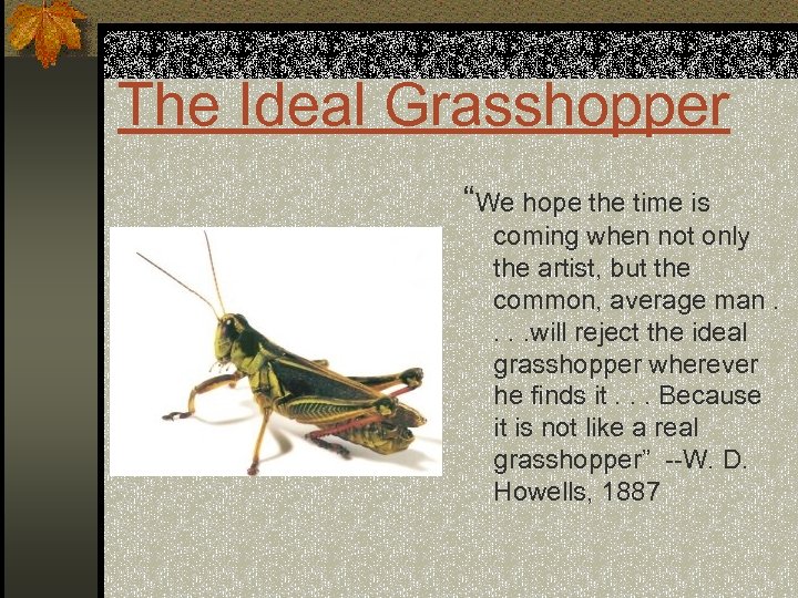 The Ideal Grasshopper “We hope the time is coming when not only the artist,