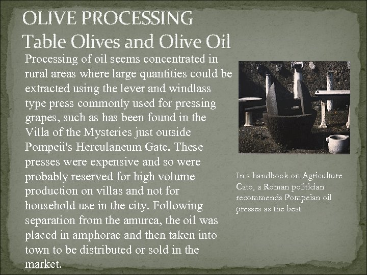 OLIVE PROCESSING Table Olives and Olive Oil Processing of oil seems concentrated in rural