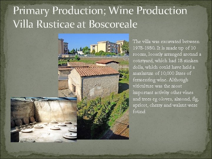 Primary Production; Wine Production Villa Rusticae at Boscoreale The villa was excavated between 1978
