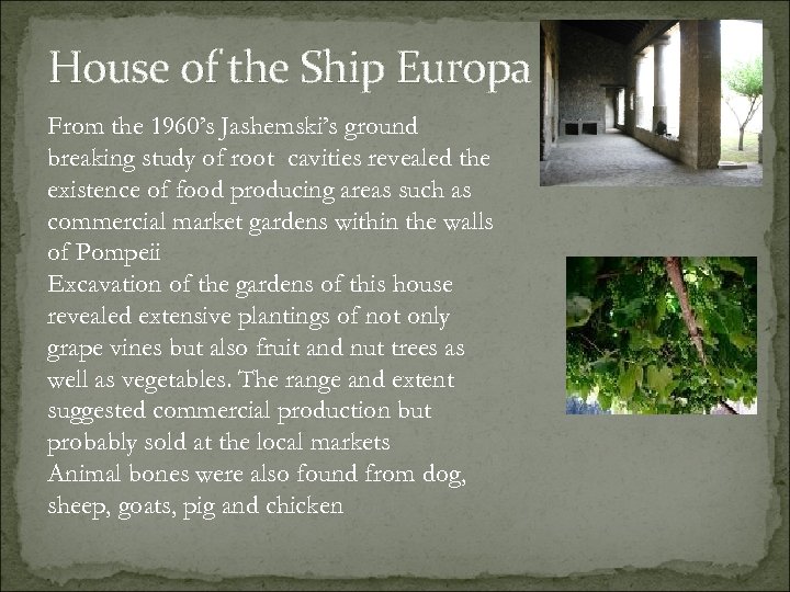 House of the Ship Europa From the 1960’s Jashemski’s ground breaking study of root