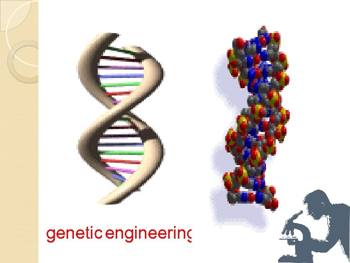 genetic engineering 