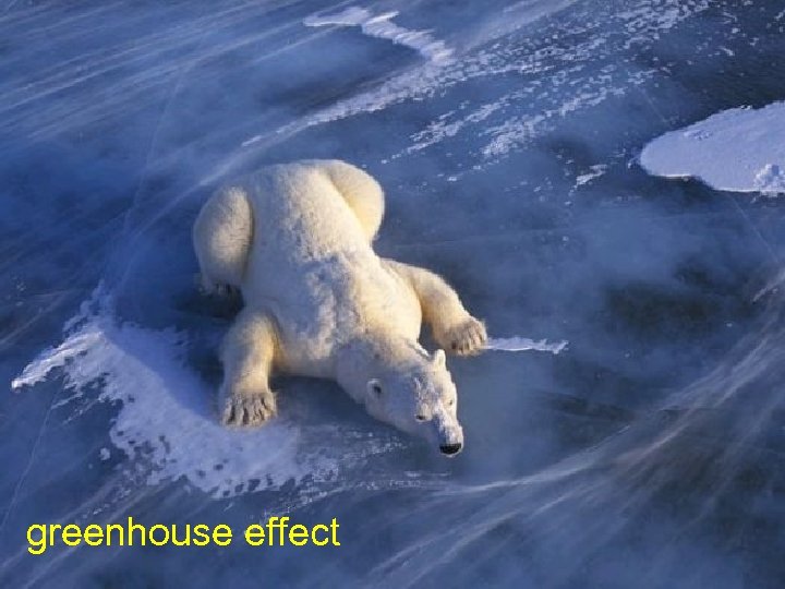 greenhouse effect 