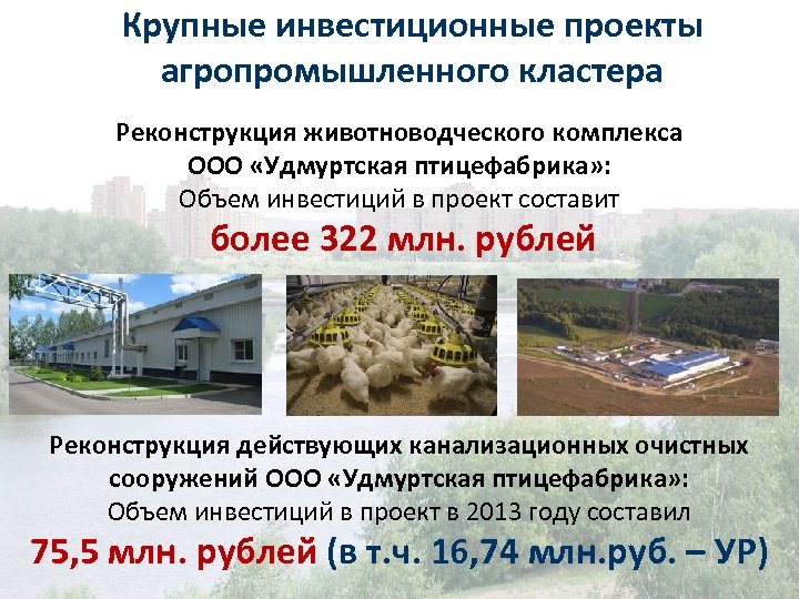Крупные инвестиционные проекты агропромышленного кластера Реконструкция животноводческого комплекса ООО «Удмуртская птицефабрика» : Объем инвестиций