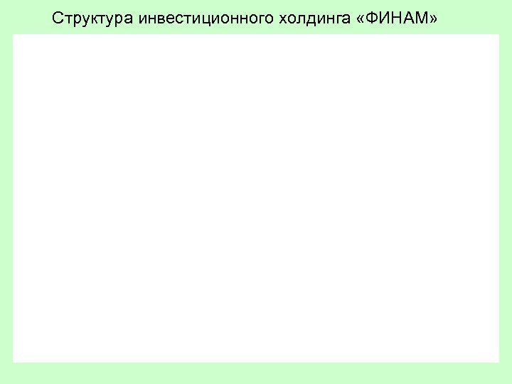 Структура инвестиционного холдинга «ФИНАМ» 