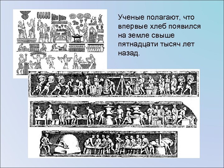 Ученые полагают, что впервые хлеб появился на земле свыше пятнадцати тысяч лет назад. 