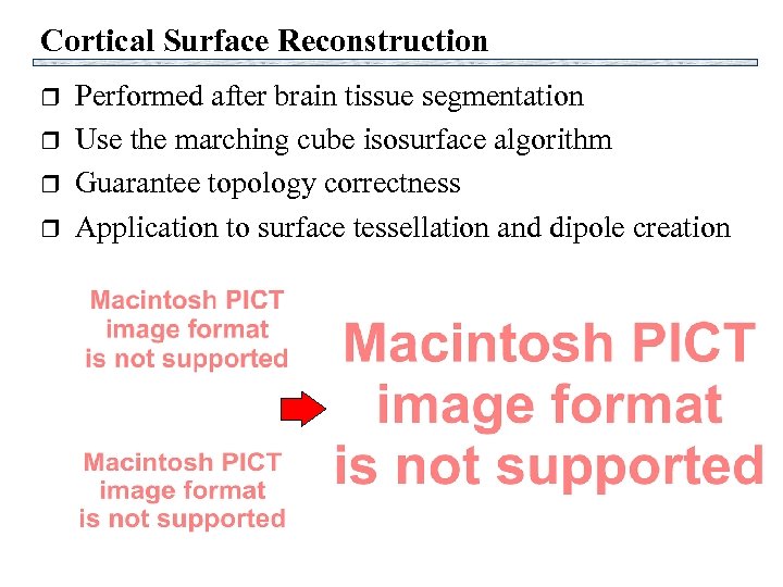 Cortical Surface Reconstruction r r Performed after brain tissue segmentation Use the marching cube