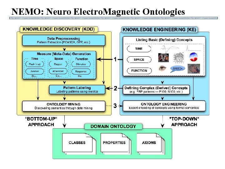 NEMO: Neuro Electro. Magnetic Ontologies 