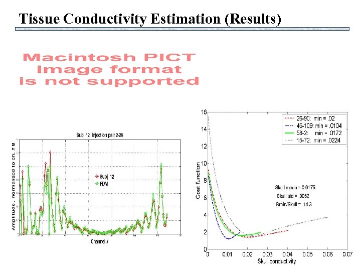 Tissue Conductivity Estimation (Results) 