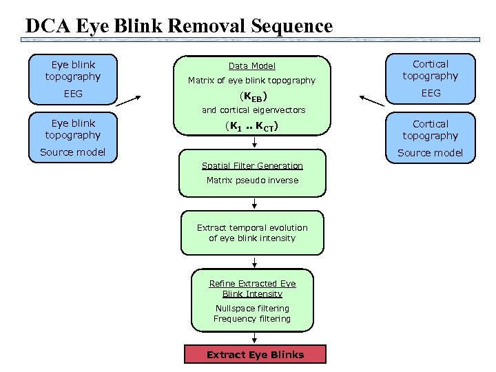 DCA Eye Blink Removal Sequence Eye blink topography Matrix of eye blink topography EEG
