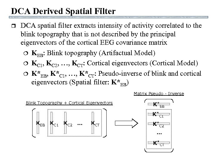DCA Derived Spatial Filter r DCA spatial filter extracts intensity of activity correlated to