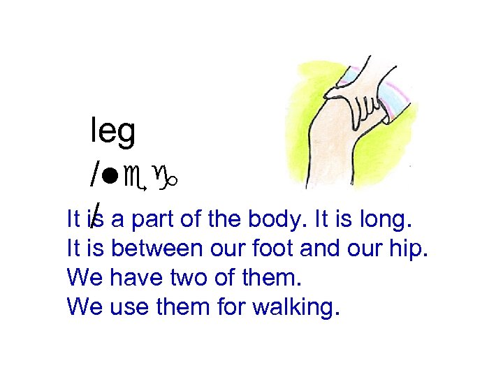 leg /leg It is a part of the body. It is long. / It