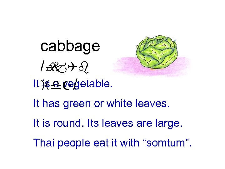 cabbage /È k. Qb It id. Z/ is a vegetable. It has green or
