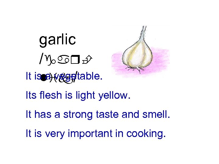 garlic /garÈ It is a vegetable. lik/ Its flesh is light yellow. It has