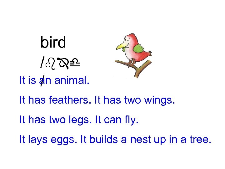 bird /bÎù d It is an animal. / It has feathers. It has two