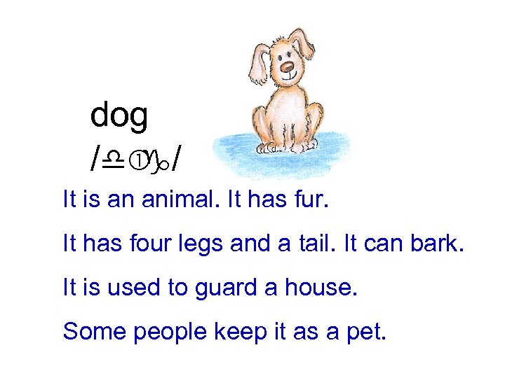 dog /d / g It is an animal. It has fur. It has four