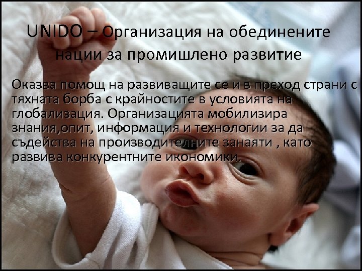 UNIDO – Организация на обединените нации за промишлено развитие Оказва помощ на развиващите се