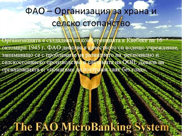 ФAO – Организация за храна и селско стопанство Организацията е създадена на конференцията в