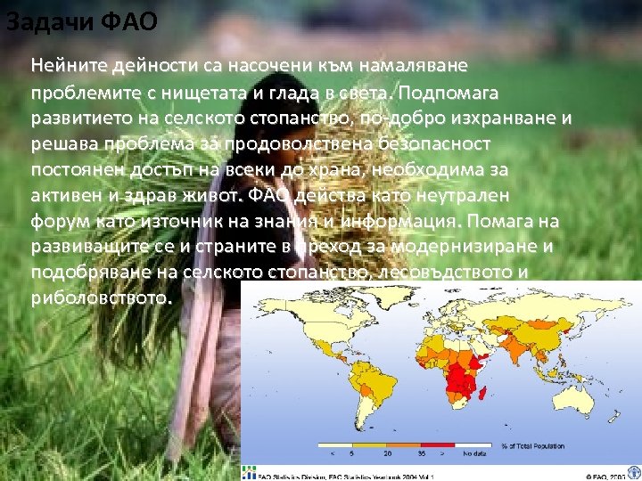 Задачи ФАО Нейните дейности са насочени към намаляване проблемите с нищетата и глада в