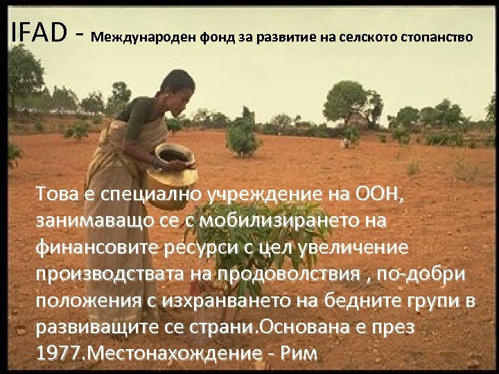 IFAD - Международен фонд за развитие на селското стопанство Това е специално учреждение на