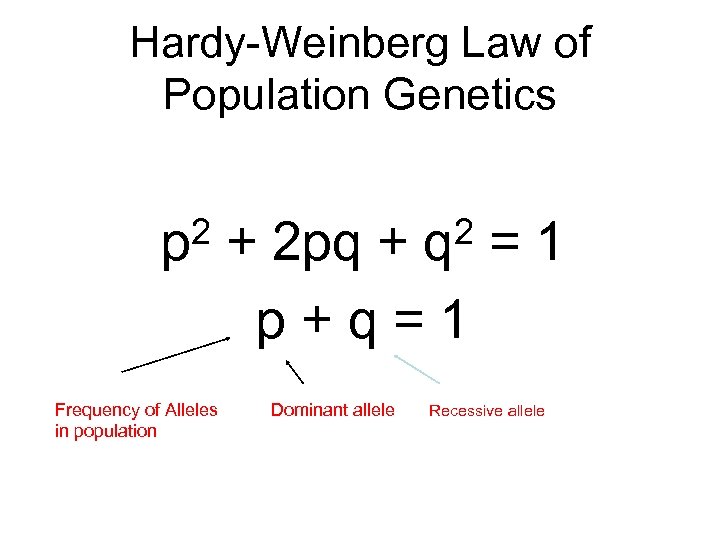 Hardy-Weinberg Law of Population Genetics 2 p Frequency of Alleles in population 2 q