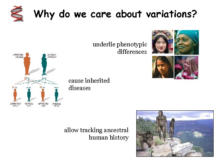 Why do we care about variations? underlie phenotypic differences cause inherited diseases allow tracking