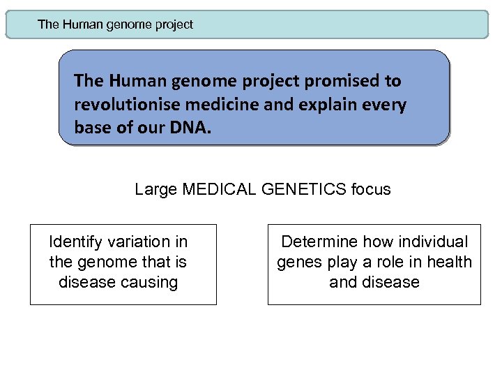 The Human genome project promised to revolutionise medicine and explain every base of our