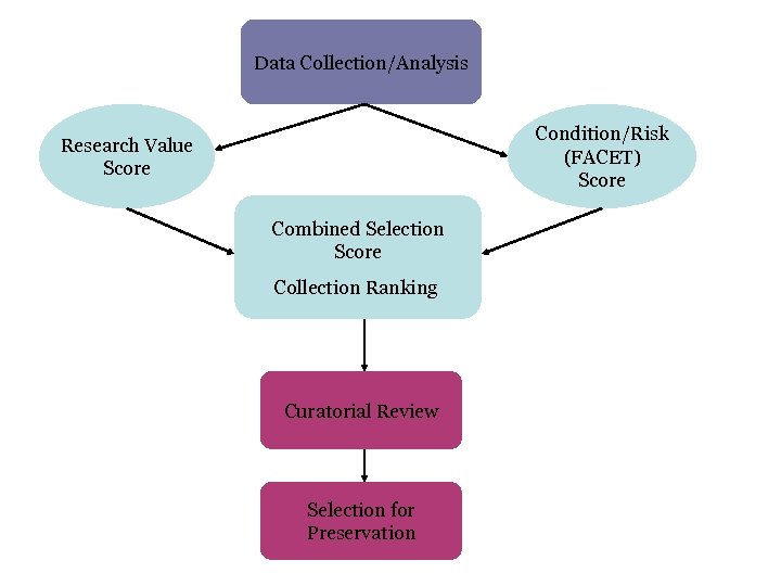 Data Collection/Analysis Condition/Risk (FACET) Score Research Value Score Combined Selection Score Collection Ranking Curatorial