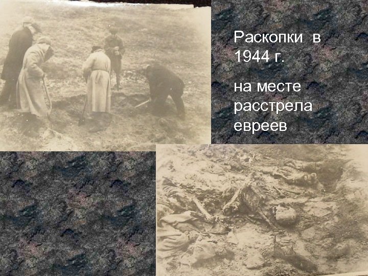 Раскопки в 1944 г. на месте расстрела евреев 