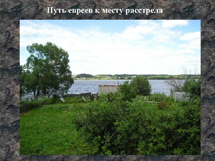 Путь евреев к месту расстрела 