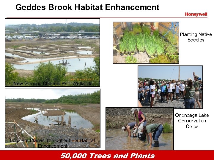 Geddes Brook Habitat Enhancement Planting Native Species New Sinuous Channel With Wetlands Onondaga Lake