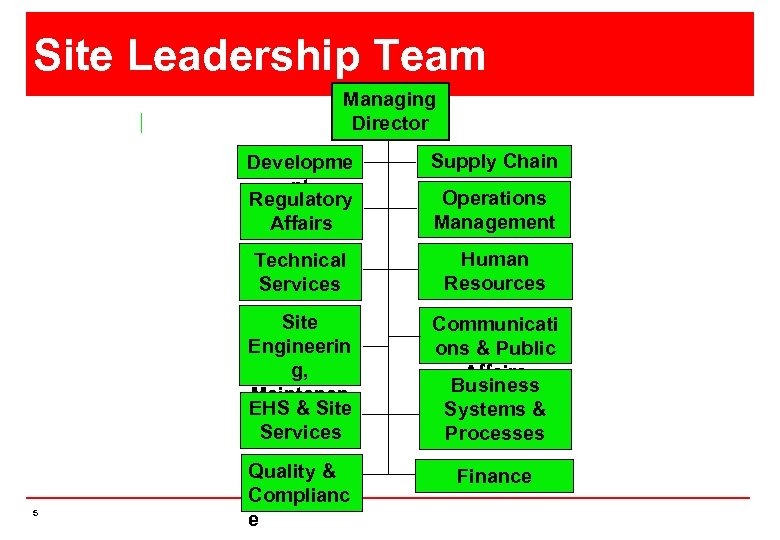 Site Leadership Team Managing Director Developme nt Regulatory Affairs Technical Services Human Resources Site