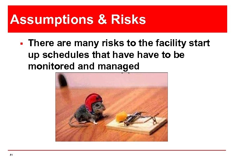 Assumptions & Risks § 81 There are many risks to the facility start up
