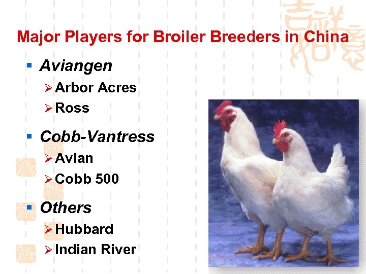 Major Players for Broiler Breeders in China § Aviangen Ø Arbor Acres Ø Ross