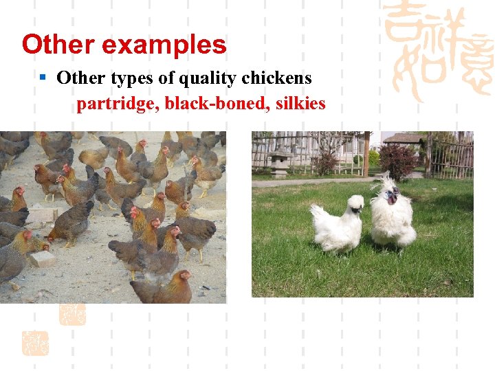 Other examples § Other types of quality chickens partridge, black-boned, silkies 