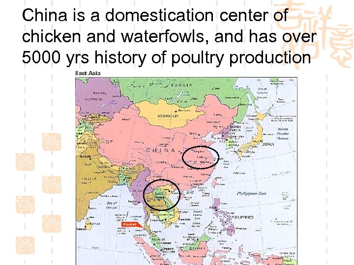 China is a domestication center of chicken and waterfowls, and has over 5000 yrs