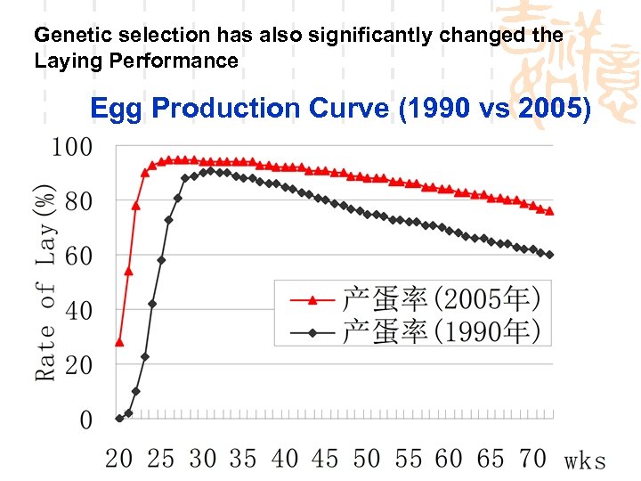 Genetic selection has also significantly changed the Laying Performance Egg Production Curve (1990 vs