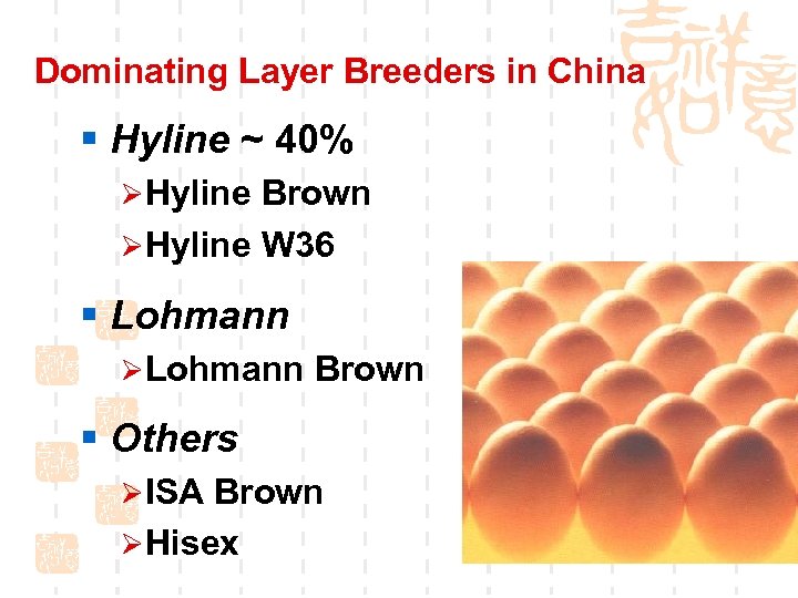 Dominating Layer Breeders in China § Hyline ~ 40% ØHyline Brown ØHyline W 36